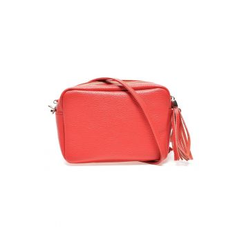 Geanta crossbody din piele