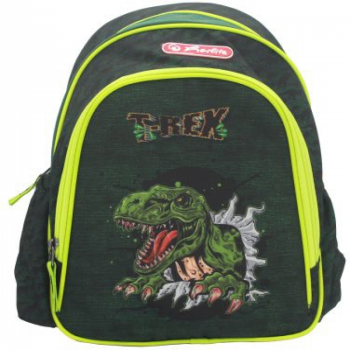 Rucsac Cool, dimensiune 31 x 20 x 12 cm, motiv T-Rex ieftin