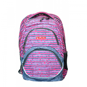 Rucsac Rocky Cu Doua Compartimente, Compartiment Pentru Laptop, Dimensiune 41 X 26 X 21 Cm, Motiv Pink Stripes