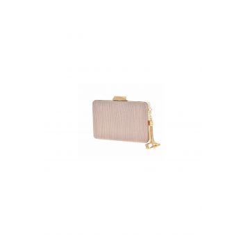 Clutch champany elegant la reducere