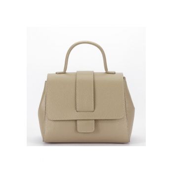 Geanta taupe din piele naturala 1047 123 17788