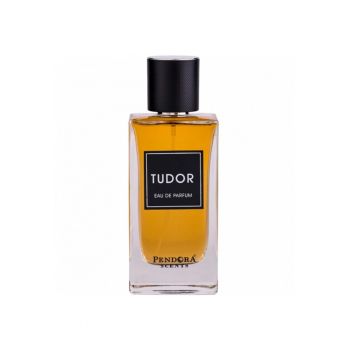 Apa de parfum  Tudor - Barbati - 100ml