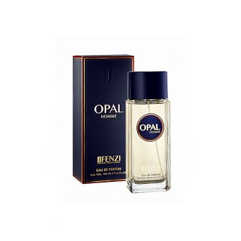 Parfum pentru barbati -  OPAL - EDP - 100 ml